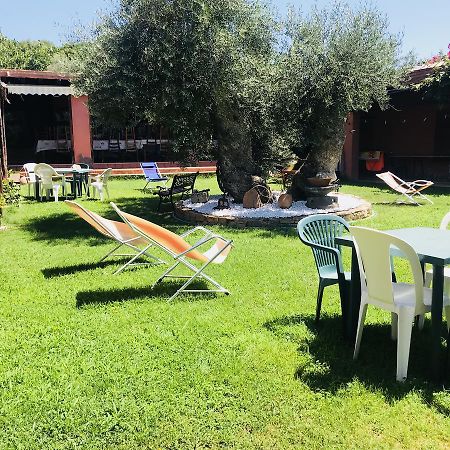 Agriturismo Su Barraccu Loceri エクステリア 写真