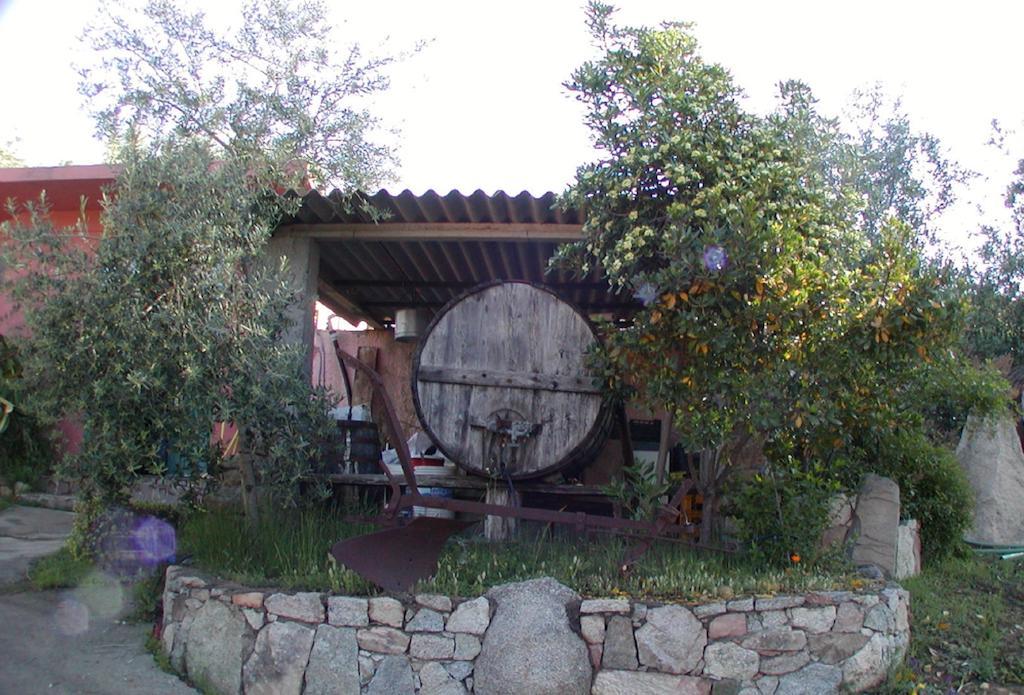 Agriturismo Su Barraccu Loceri エクステリア 写真