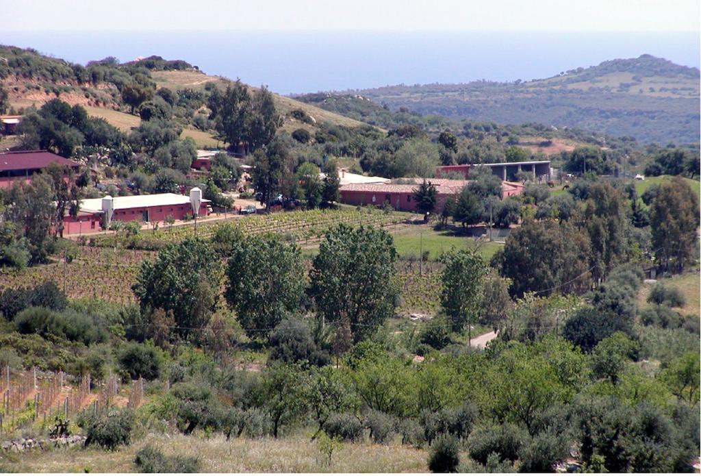 Agriturismo Su Barraccu Loceri エクステリア 写真