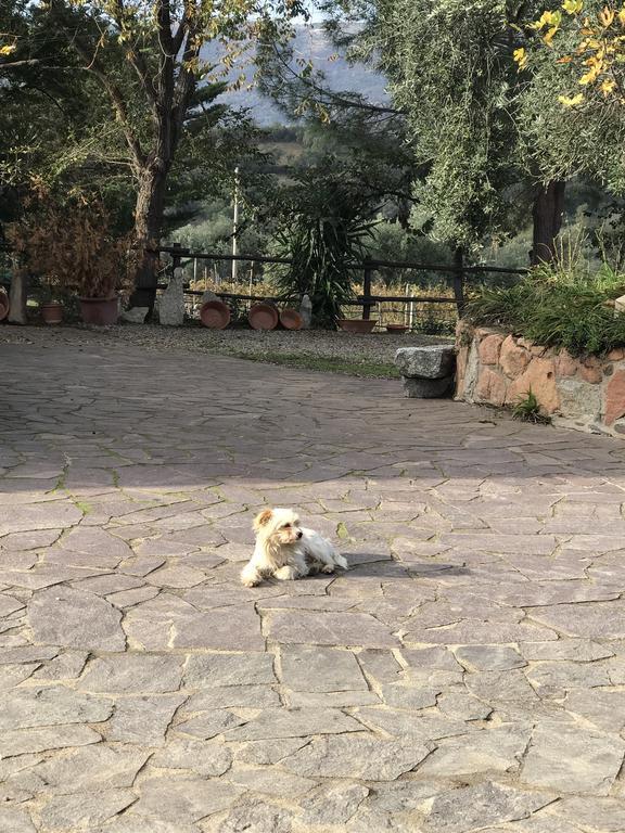 Agriturismo Su Barraccu Loceri エクステリア 写真