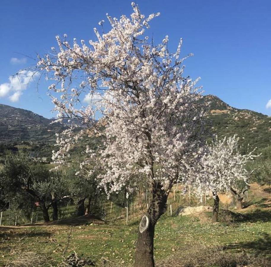 Agriturismo Su Barraccu Loceri エクステリア 写真
