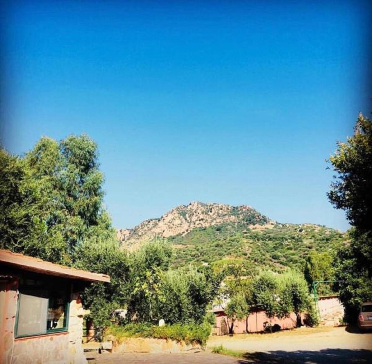 Agriturismo Su Barraccu Loceri エクステリア 写真