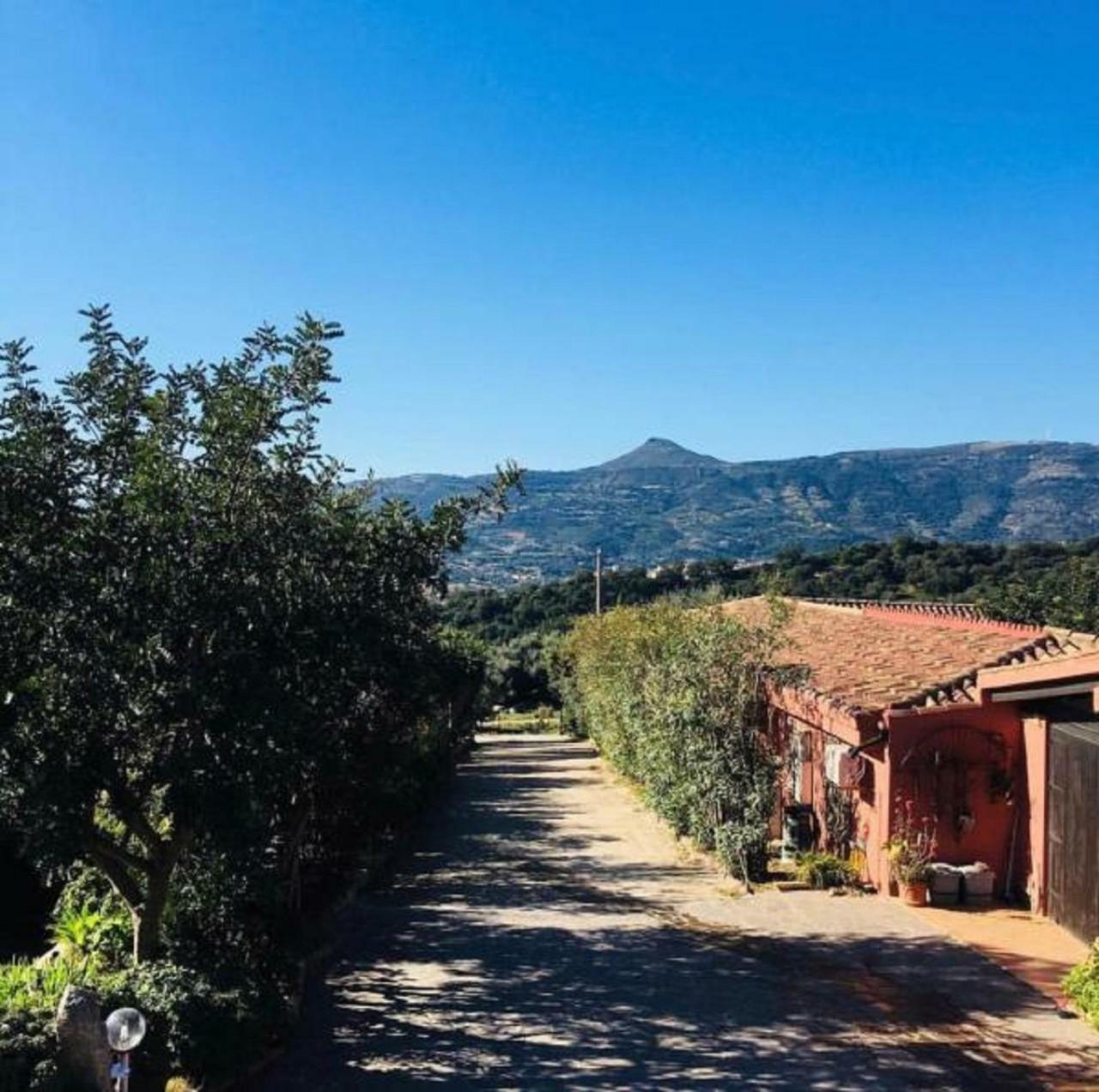 Agriturismo Su Barraccu Loceri エクステリア 写真