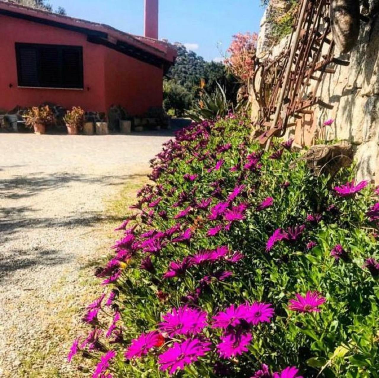 Agriturismo Su Barraccu Loceri エクステリア 写真